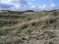 Amrum Duenen